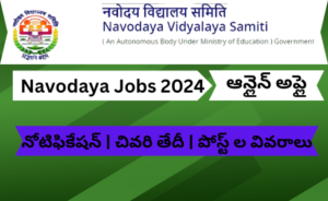 Navodaya Jobs 2024